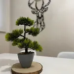 Apartamento Centrico Con Garaje