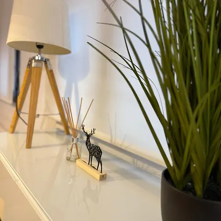 Centrico Con Garaje ז'אקה