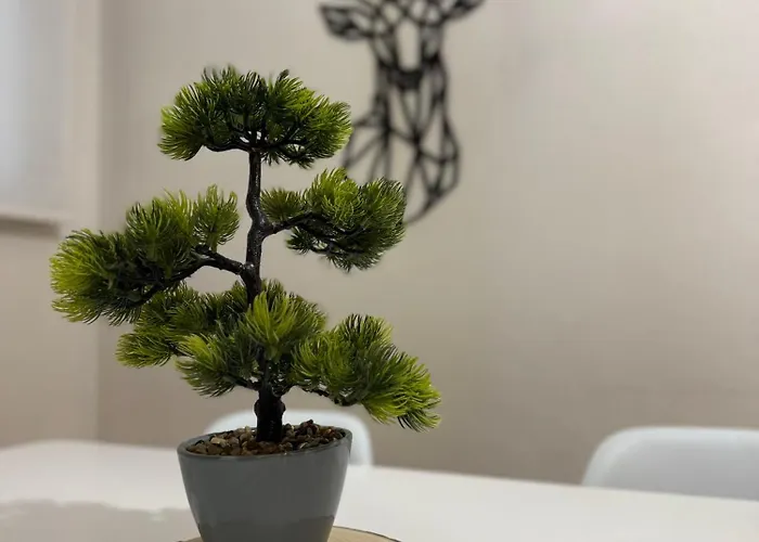 Apartamento Céntrico Con Garaje